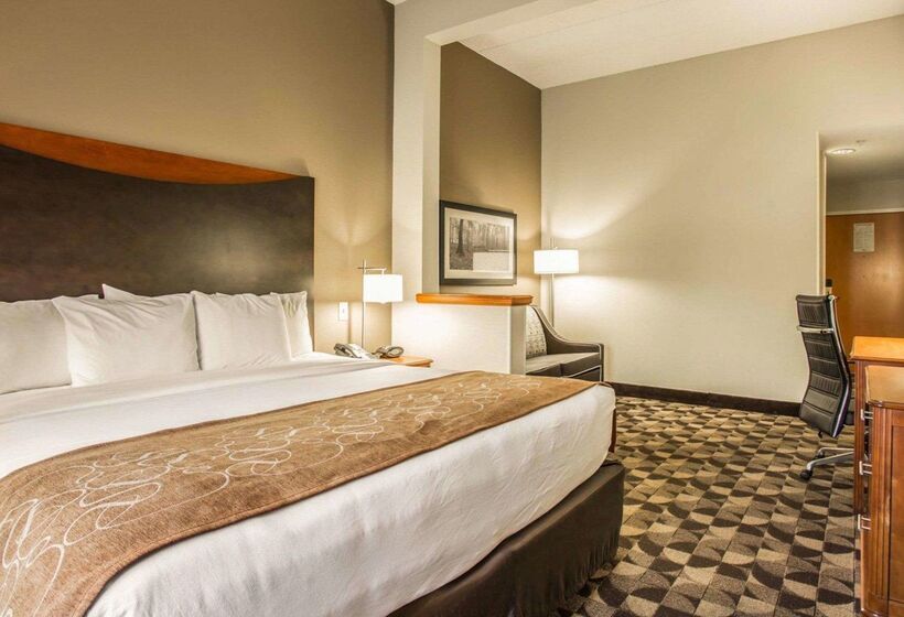 ホテル Comfort Suites Columbia At Harbison