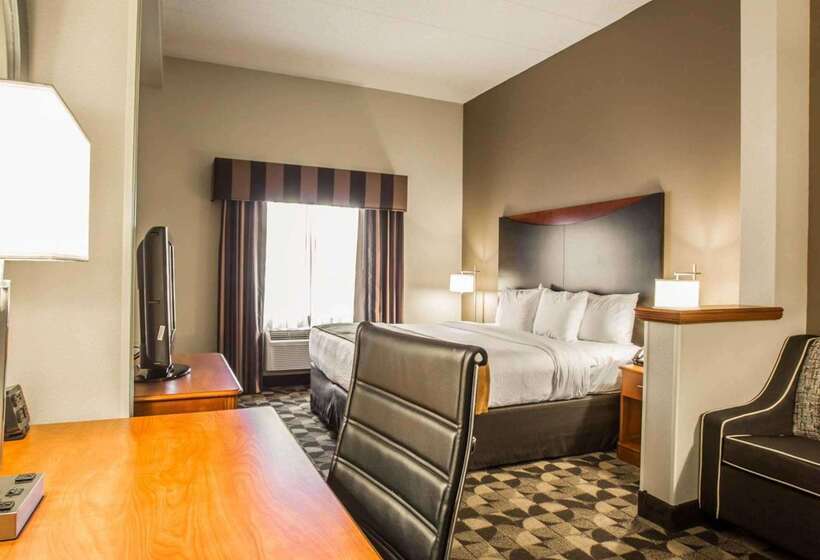 ホテル Comfort Suites Columbia At Harbison