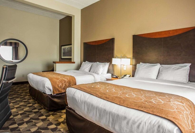 ホテル Comfort Suites Columbia At Harbison