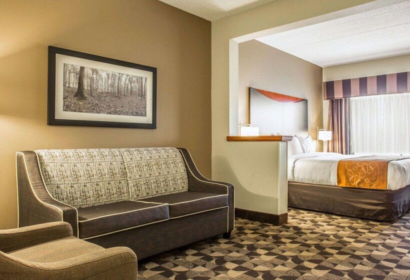 ホテル Comfort Suites Columbia At Harbison