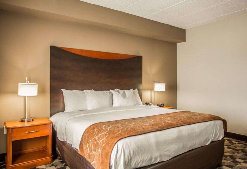 ホテル Comfort Suites Columbia At Harbison