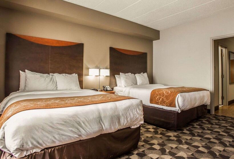 ホテル Comfort Suites Columbia At Harbison