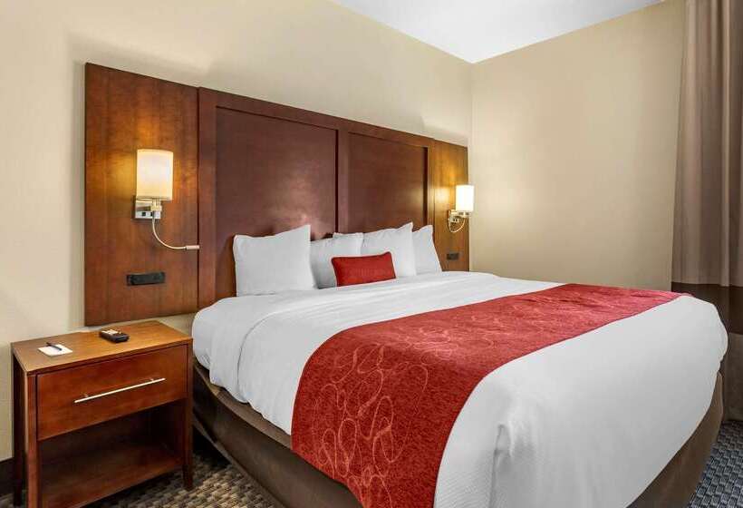 فندق Comfort Suites