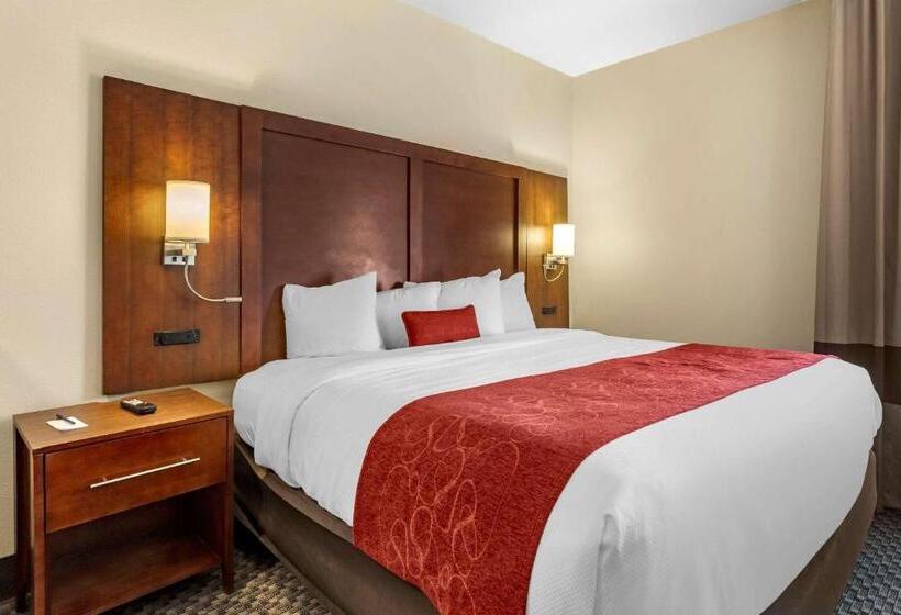 فندق Comfort Suites