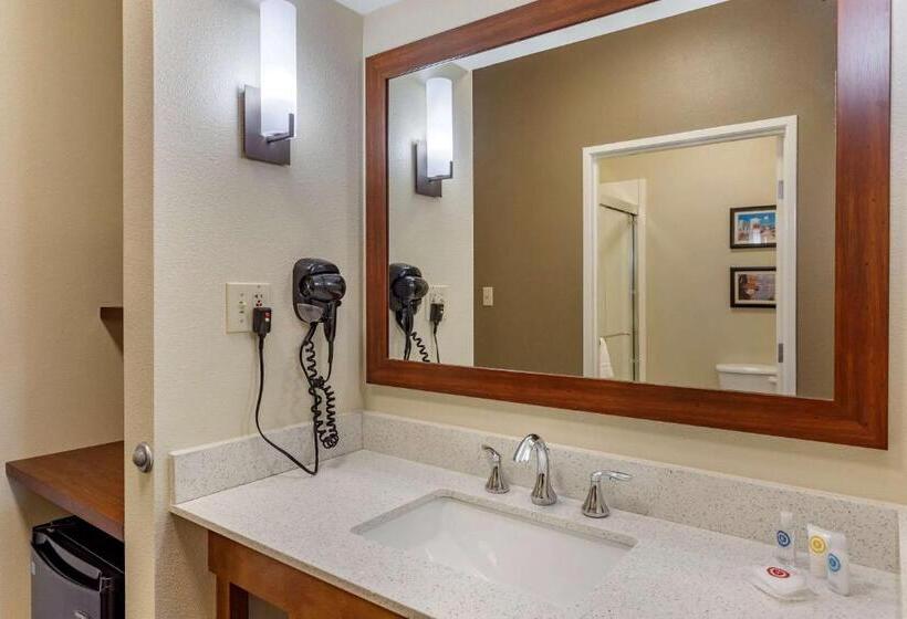 فندق Comfort Suites