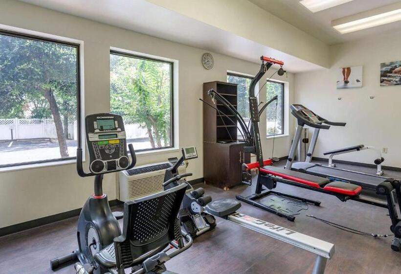 فندق Comfort Suites