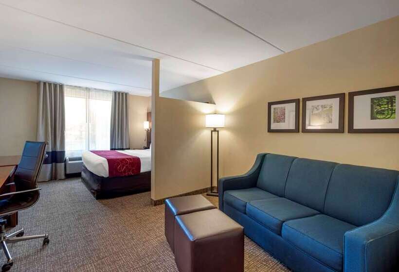 호텔 Comfort Suites Fredericksburg North