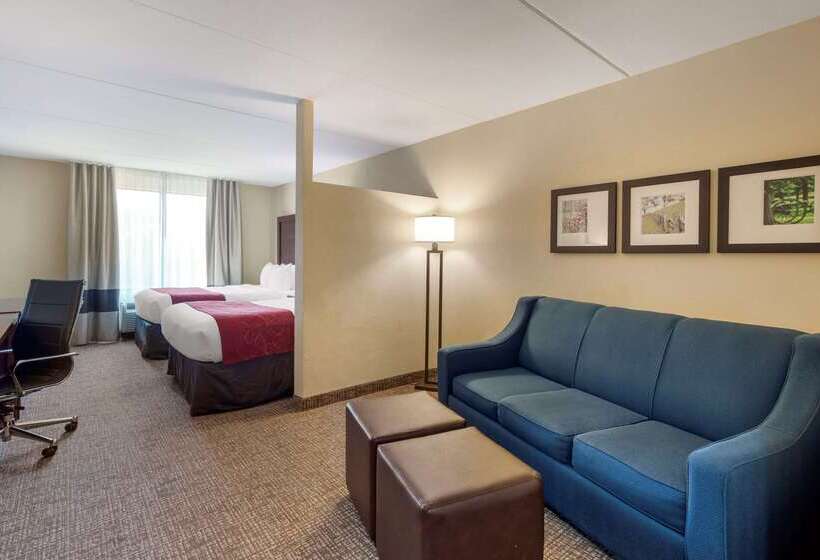 酒店 Comfort Suites Fredericksburg North