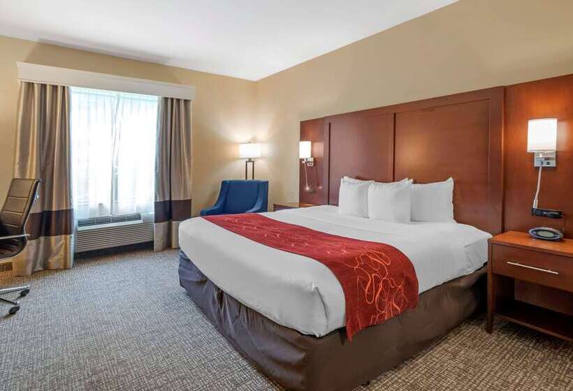 호텔 Comfort Suites Fredericksburg North