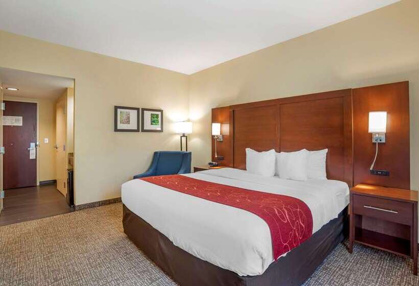 酒店 Comfort Suites Fredericksburg North