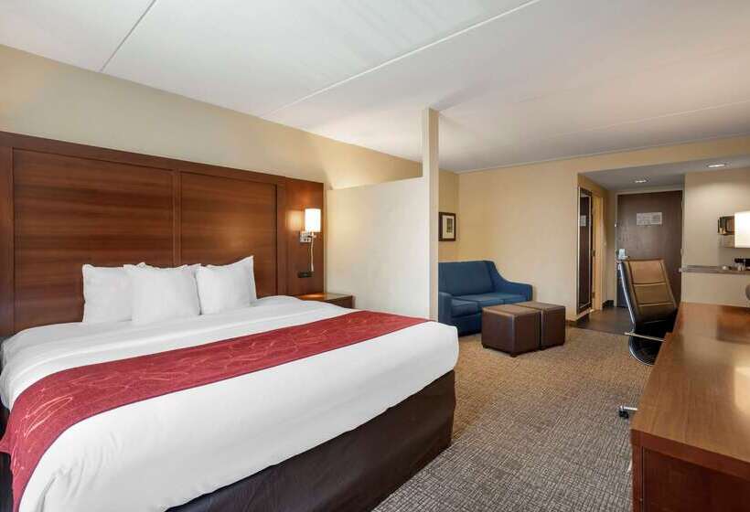 호텔 Comfort Suites Fredericksburg North