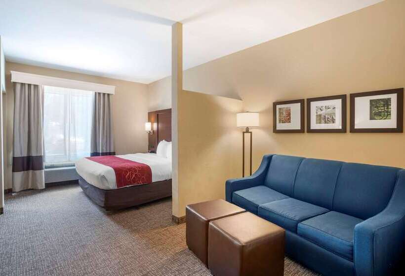 호텔 Comfort Suites Fredericksburg North