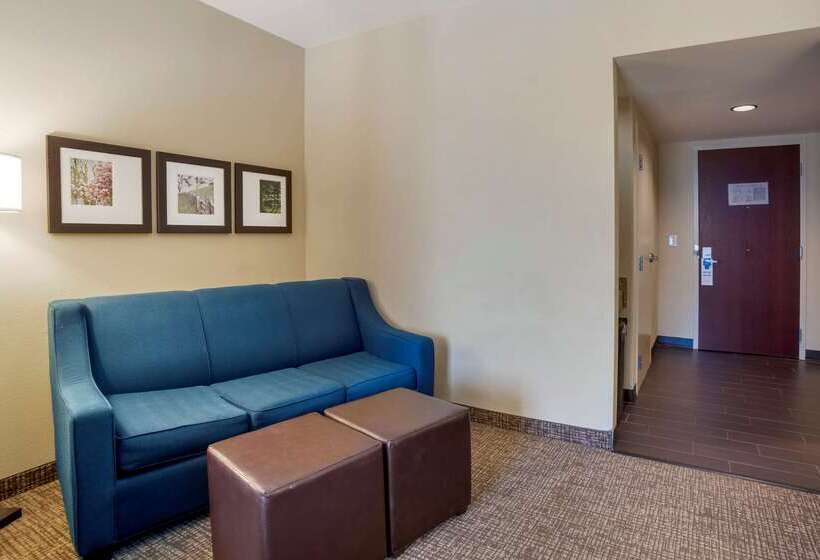 호텔 Comfort Suites Fredericksburg North