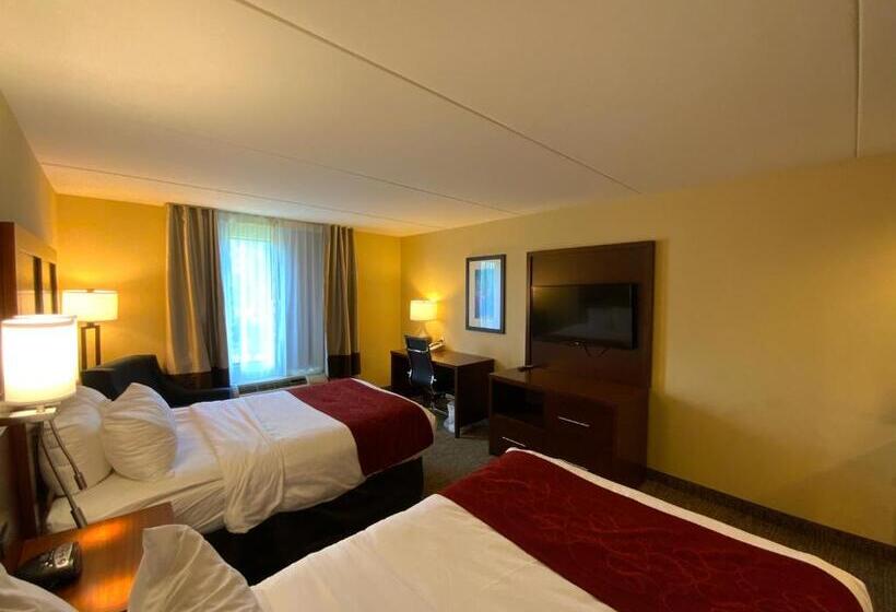 호텔 Comfort Suites Fredericksburg North