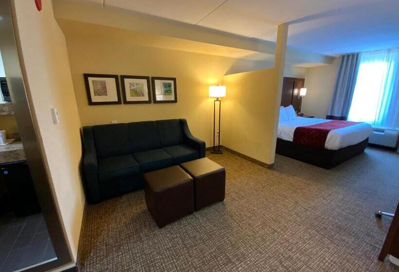 호텔 Comfort Suites Fredericksburg North