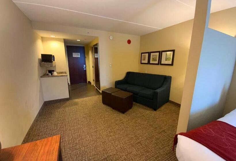 호텔 Comfort Suites Fredericksburg North