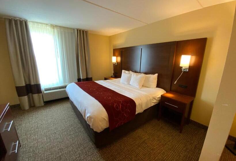 酒店 Comfort Suites Fredericksburg North