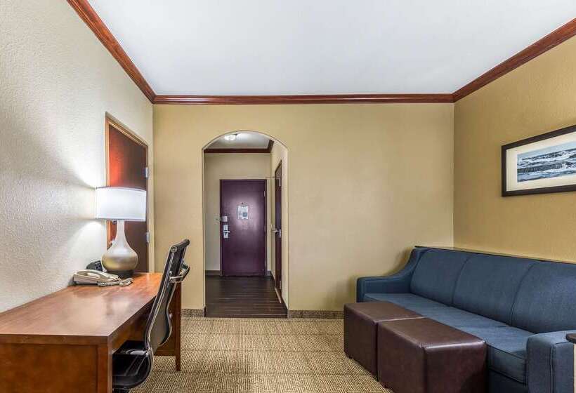 Отель Comfort Suites