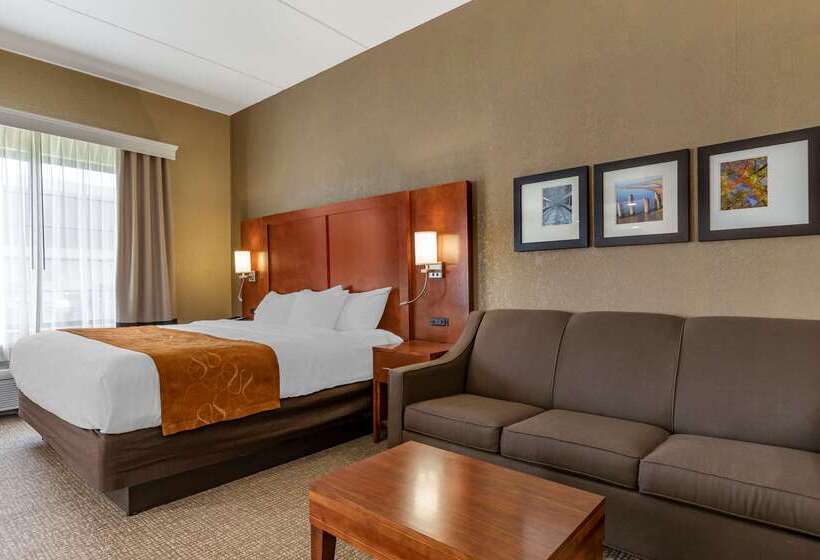 Отель Comfort Suites Grand Rapids South
