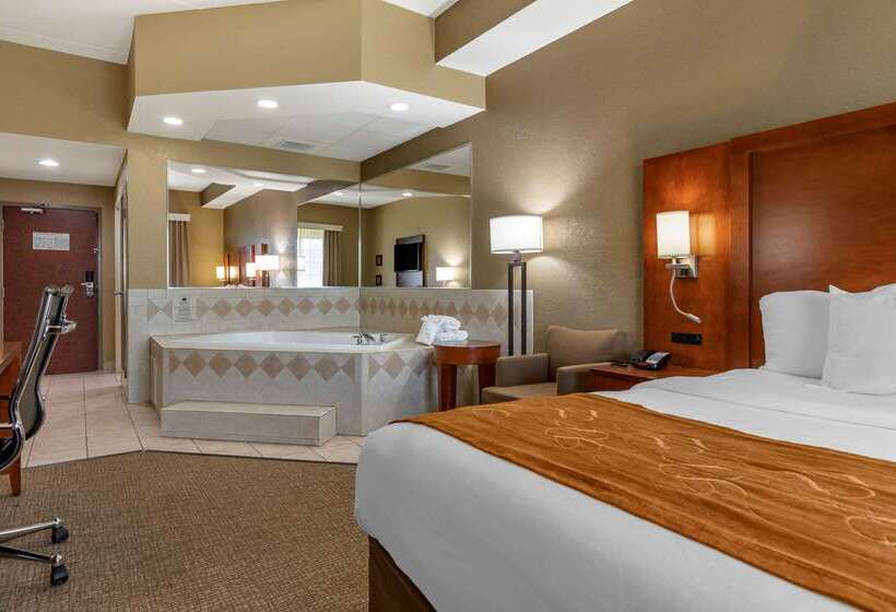 Отель Comfort Suites Grand Rapids South