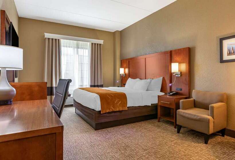 Отель Comfort Suites Grand Rapids South