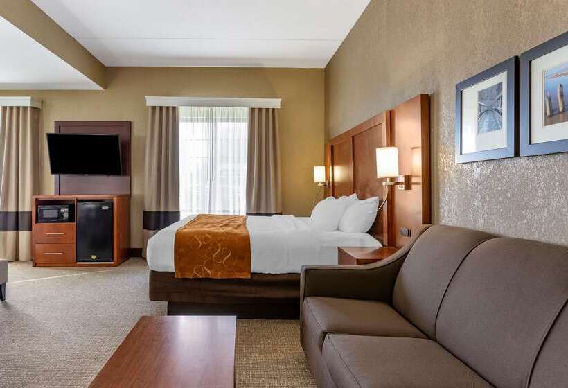 Отель Comfort Suites Grand Rapids South