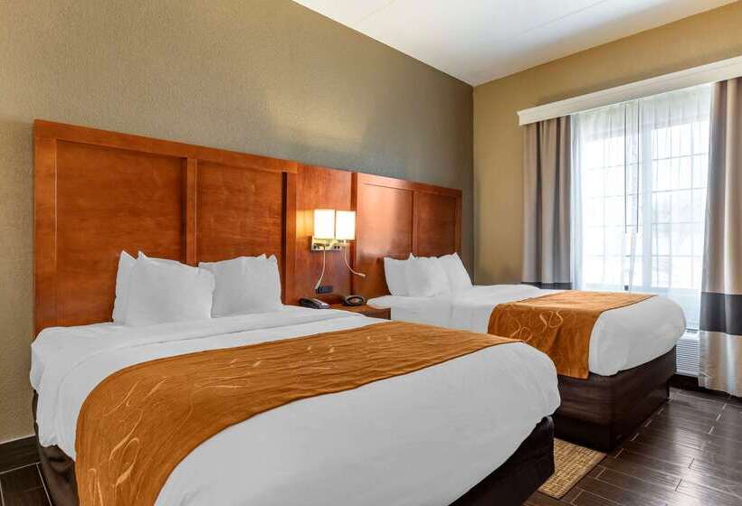 Отель Comfort Suites Grand Rapids South