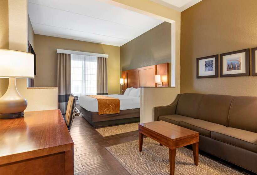 Отель Comfort Suites Grand Rapids South