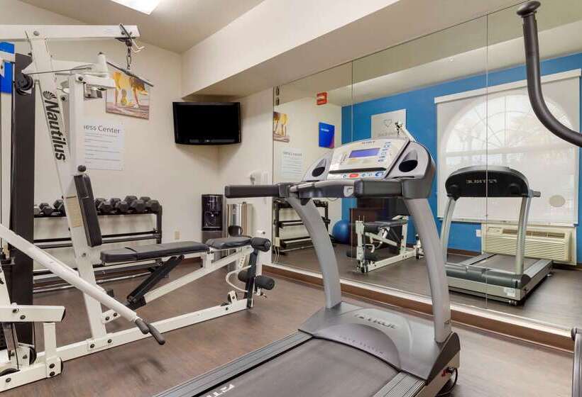 ホテル Comfort Suites Kingwood Houston North