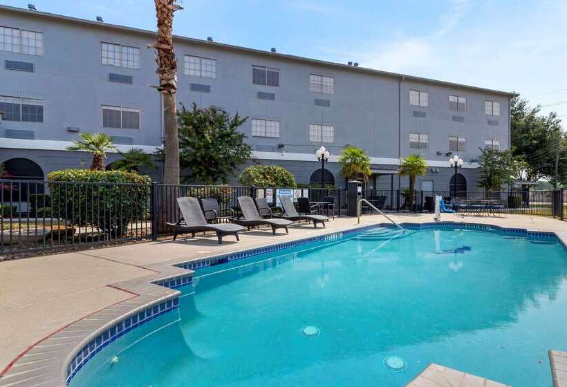 ホテル Comfort Suites Kingwood Houston North