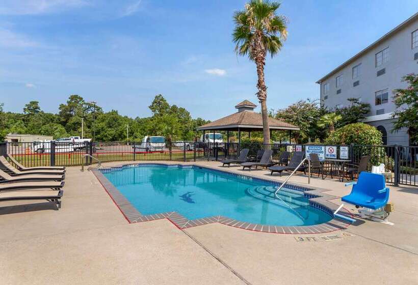 ホテル Comfort Suites Kingwood Houston North