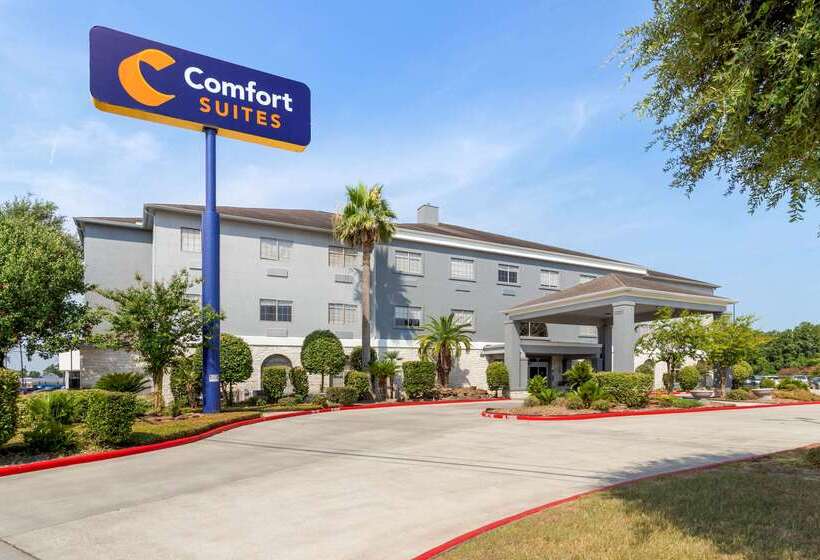 ホテル Comfort Suites Kingwood Houston North