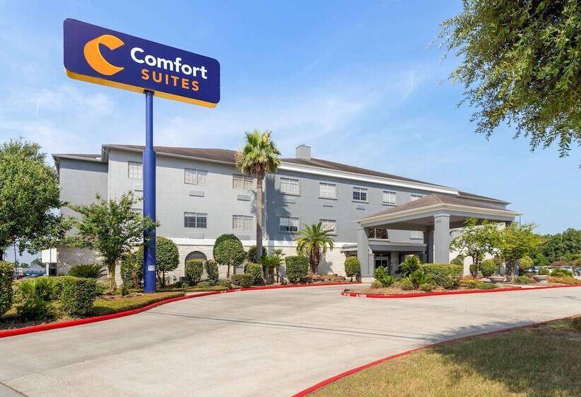 ホテル Comfort Suites Kingwood Houston North