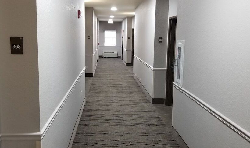 ホテル Comfort Suites Kingwood Houston North