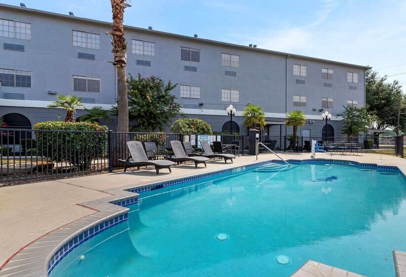 ホテル Comfort Suites Kingwood Houston North