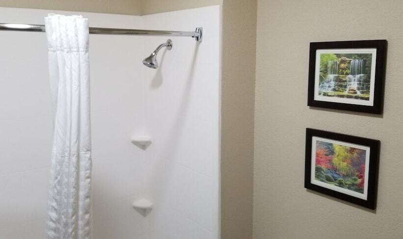 ホテル Comfort Suites Kingwood Houston North