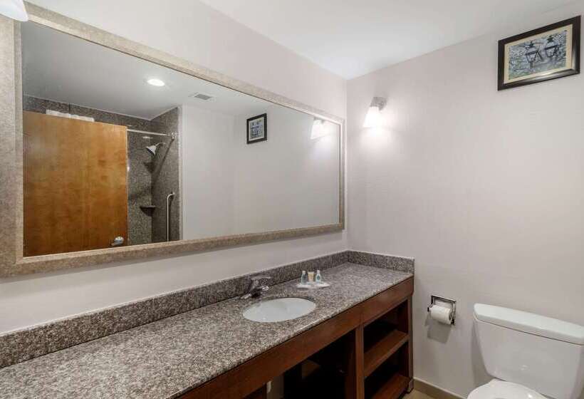 酒店 Comfort Suites