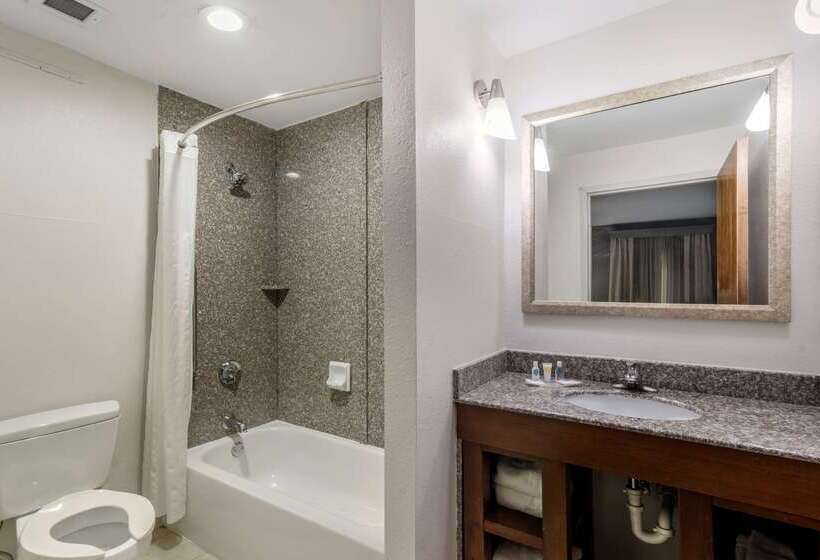 酒店 Comfort Suites