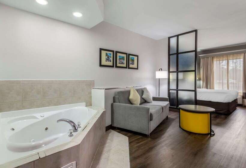 酒店 Comfort Suites