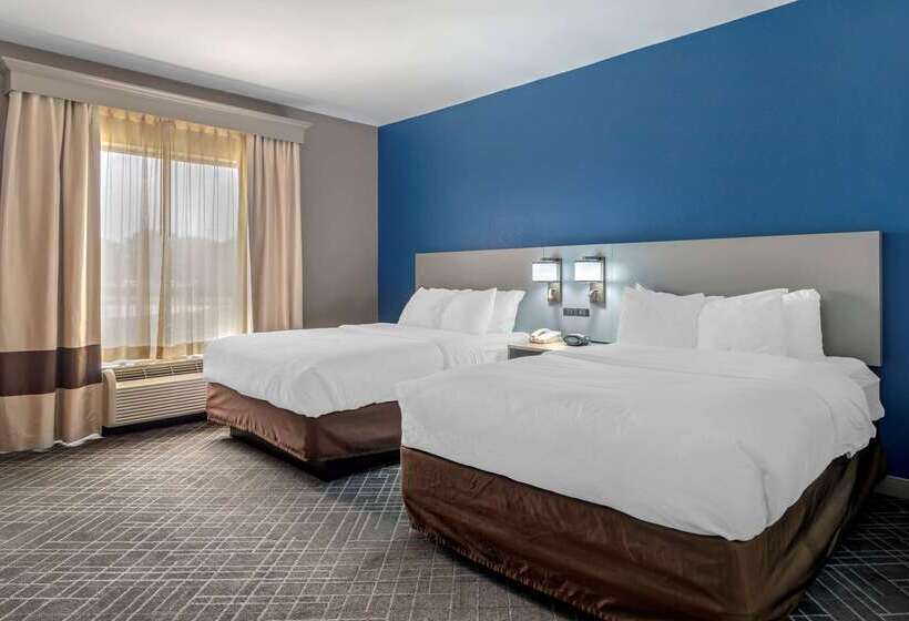 酒店 Comfort Suites