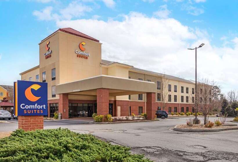 酒店 Comfort Suites