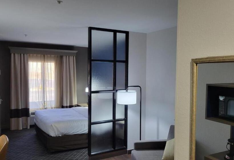 酒店 Comfort Suites