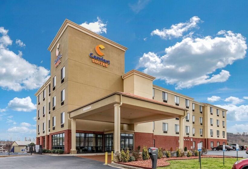 בית מלון כפרי Comfort Suites Pelham Hoover I 65
