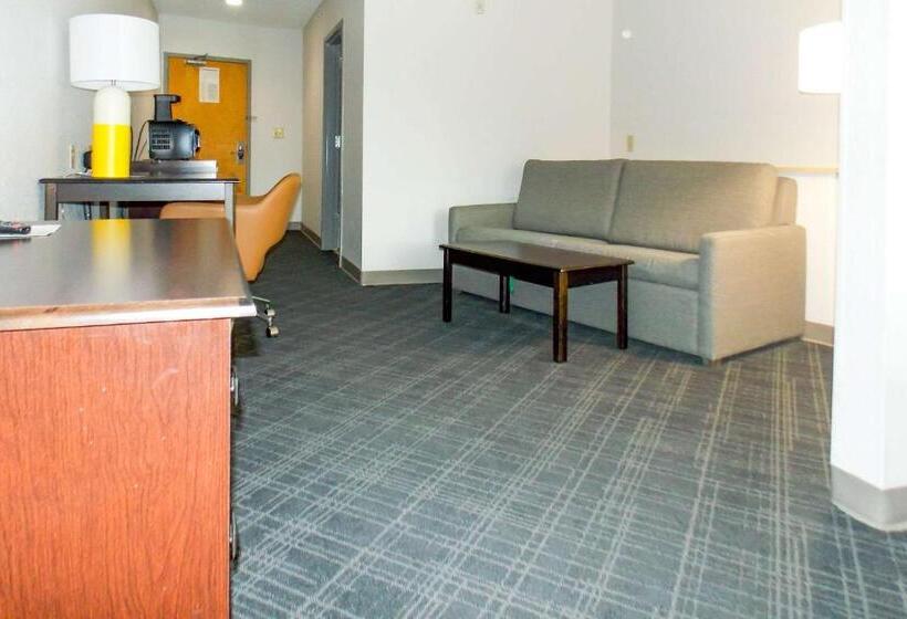 فندق Comfort Suites Salemroanoke I81