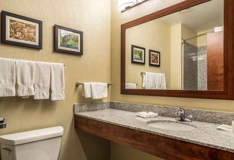 ホテル Comfort Suites Near Texas State University