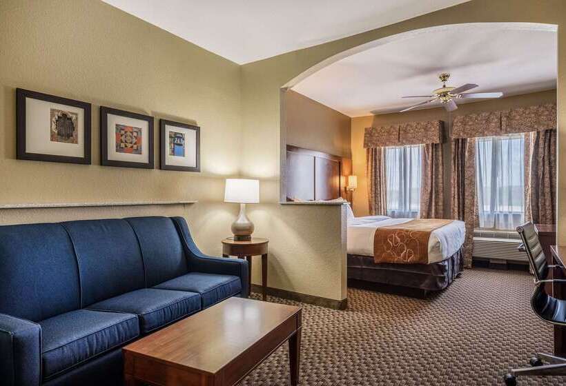 בית מלון כפרי Comfort Suites Near Texas State University