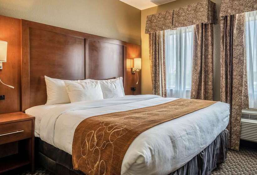 ホテル Comfort Suites Near Texas State University