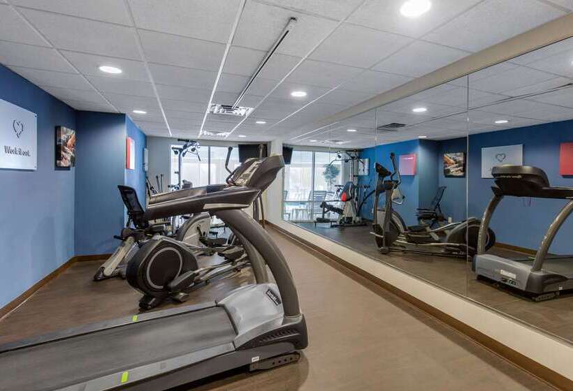 فندق Comfort Suites