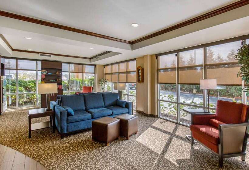 فندق Comfort Suites