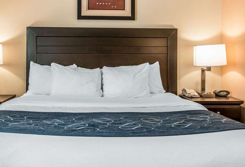 هتل Comfort Suites South Bend Near Casino